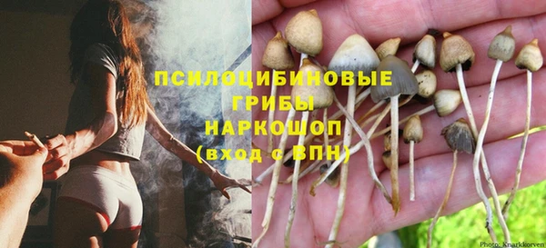 бутират Михайловка