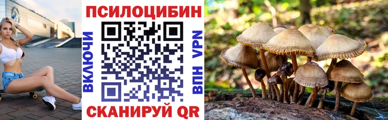 Псилоцибиновые грибы Psilocybine cubensis  Фрязино 