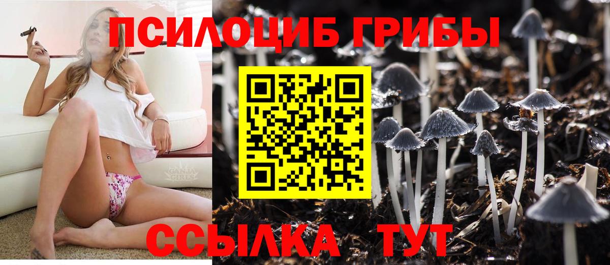 Псилоцибиновые грибы ЛСД Фрязино