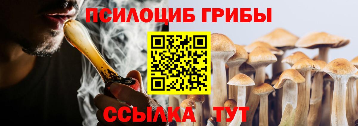 Галлюциногенные грибы Psilocybine cubensis  Фрязино 